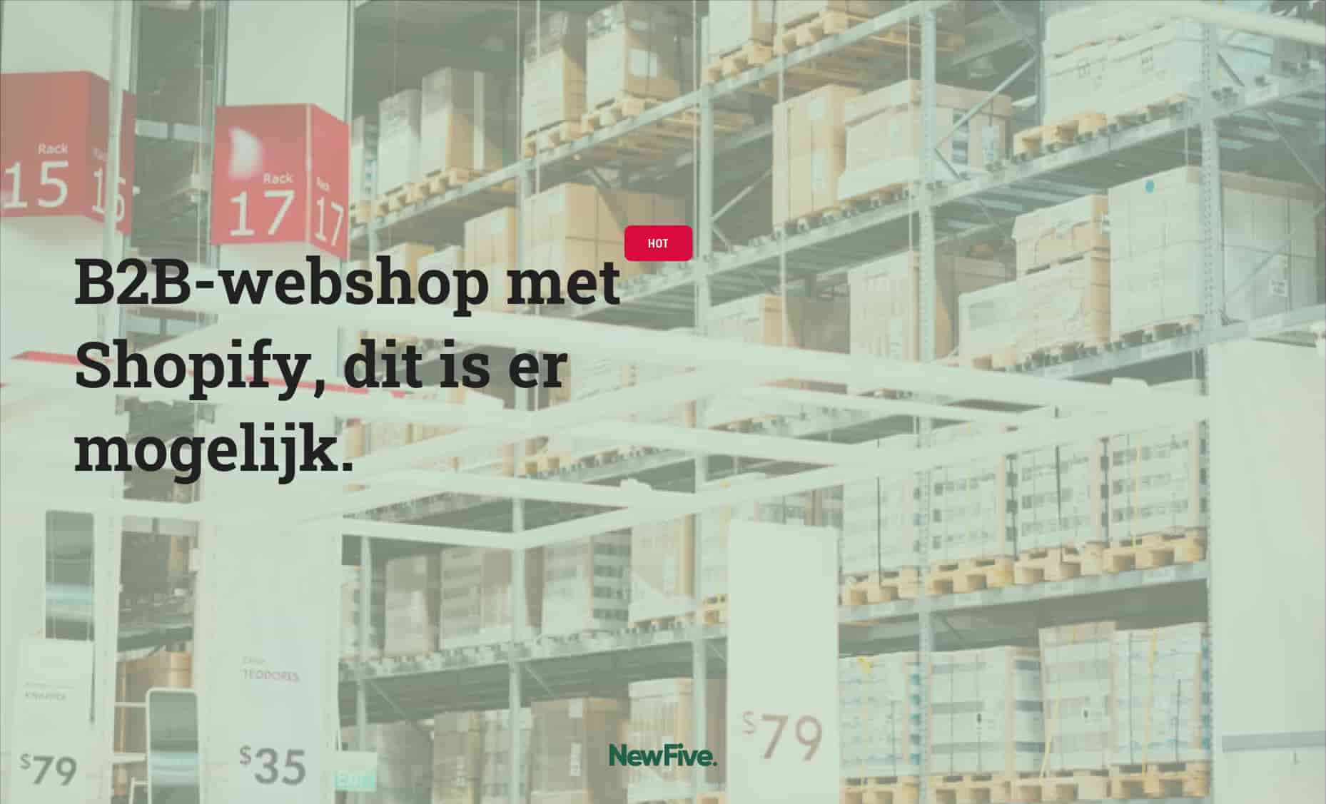 B2B webshop bouwen met Shopify: dit moet je weten (2026)